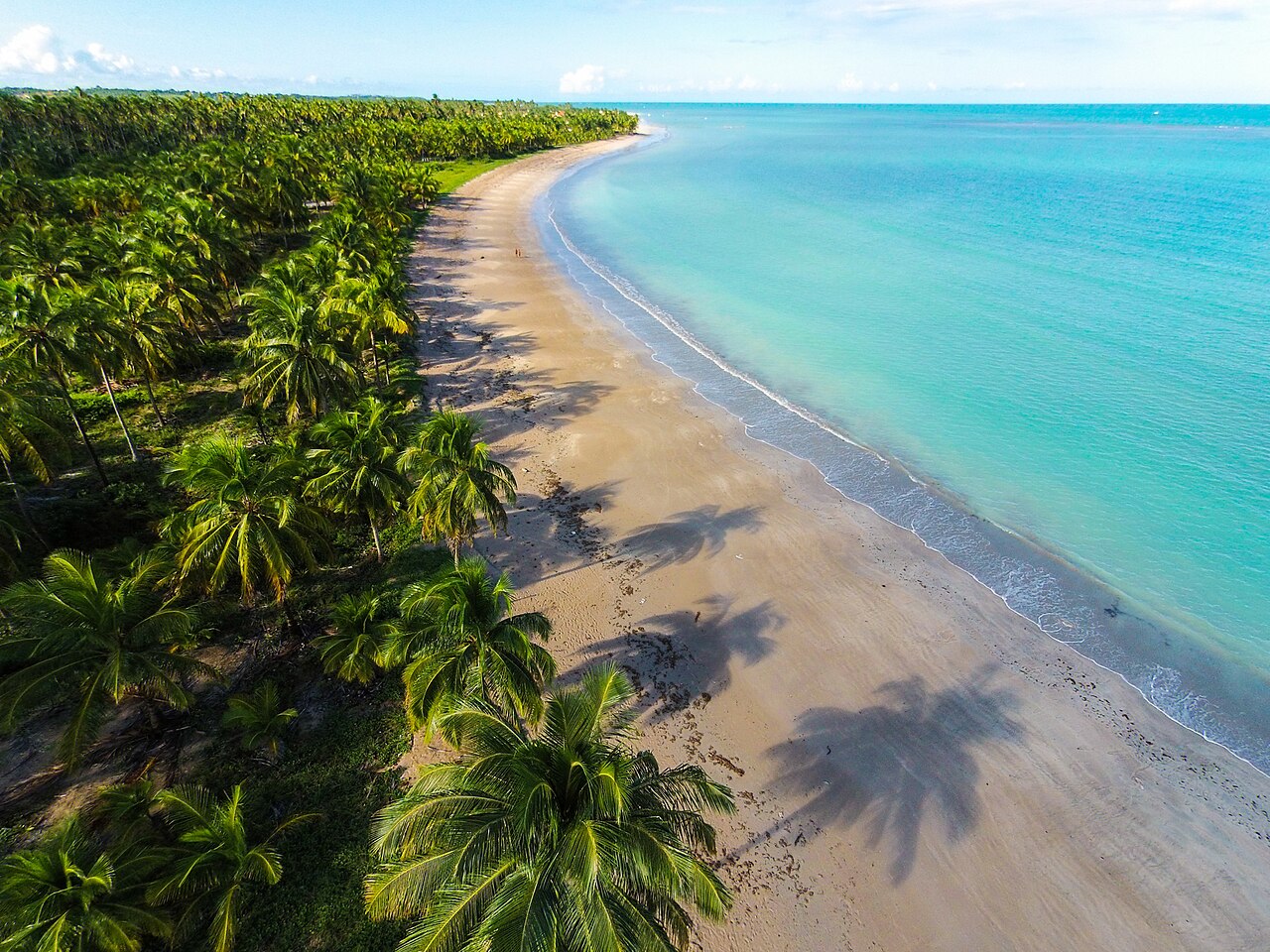Vista aérea da Praia de Ipioca e seu coqueiral